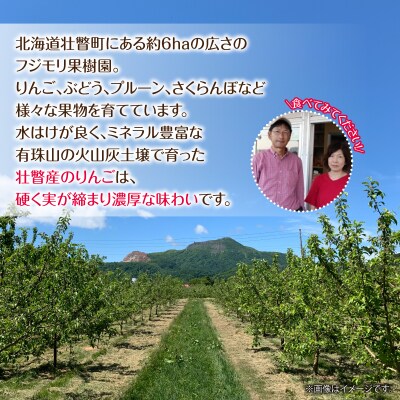 <2026年11月中旬よりお届け>壮瞥町産りんご「王林」8～10玉約3kg SBTF024