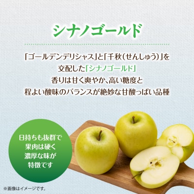 <2026年11月上旬よりお届け>壮瞥町産りんご「シナノゴールド」8～10玉約5kg SBTF021