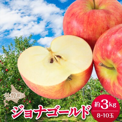 <2026年10月下旬よりお届け>壮瞥町産りんご「ジョナゴールド」8～10玉約3kg SBTF018