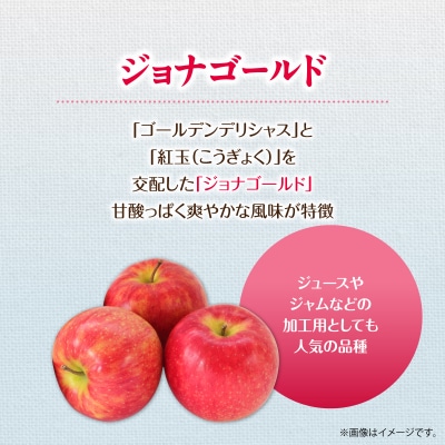 <2026年10月下旬よりお届け>壮瞥町産りんご「ジョナゴールド」8~10玉約3kg SBTF018