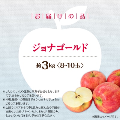 <2026年10月下旬よりお届け>壮瞥町産りんご「ジョナゴールド」8~10玉約3kg SBTF018