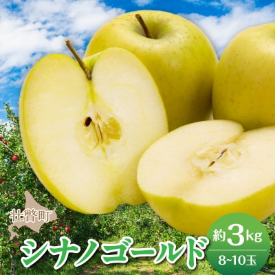 <2026年11月上旬よりお届け>壮瞥町産りんご「シナノゴールド」8～10玉約3kg SBTF020