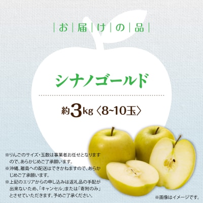 <2026年11月上旬よりお届け>壮瞥町産りんご「シナノゴールド」8～10玉約3kg SBTF020