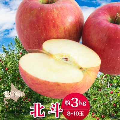 <2026年11月中旬よりお届け>壮瞥町産りんご「北斗」8～10玉約3kg SBTF022