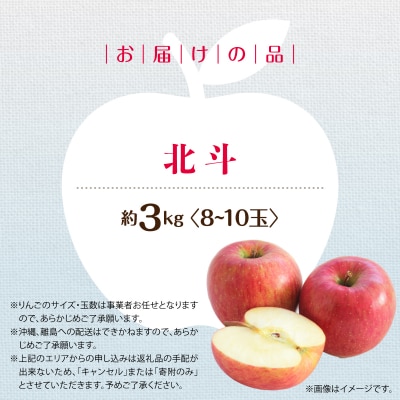＜2026年11月中旬よりお届け＞壮瞥町産りんご「北斗」8～10玉約3kg SBTF022