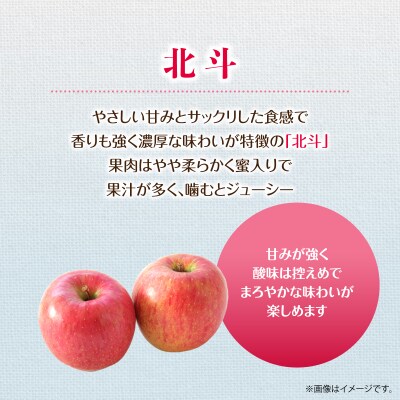 <2026年11月中旬よりお届け>壮瞥町産りんご「北斗」12~18玉約5kg SBTF023