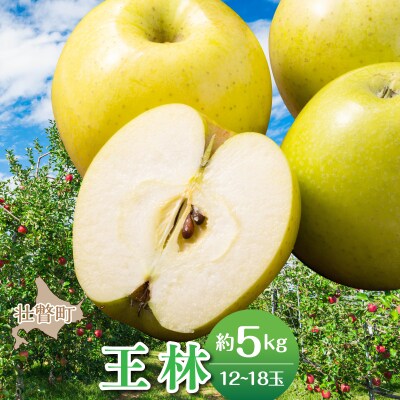 <2026年11月中旬よりお届け>壮瞥町産 りんご「王林」12~18玉約5kg SBTF025