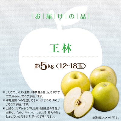 <2026年11月中旬よりお届け>壮瞥町産 りんご「王林」12~18玉約5kg SBTF025