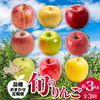 <10・11・12月お届け>壮瞥町産　旬のりんご約3kg　おまかせ定期便 SBTF031