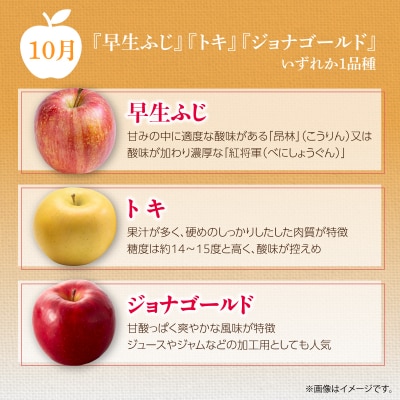 <10・11・12月お届け>壮瞥町産　旬のりんご約3kg　おまかせ定期便 SBTF031