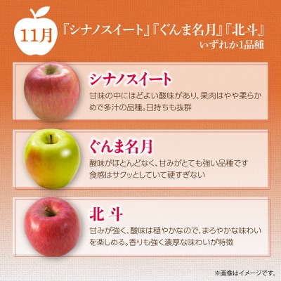 <10・11・12月お届け>壮瞥町産　旬のりんご約3kg　おまかせ定期便 SBTF031
