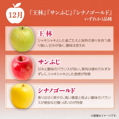 <10・11・12月お届け>壮瞥町産　旬のりんご約3kg　おまかせ定期便 SBTF031