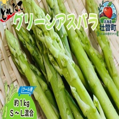 <4月より順次配送>グリーンアスパラ 約1kg(S-L混合) 北海道壮瞥町産 SBTO016