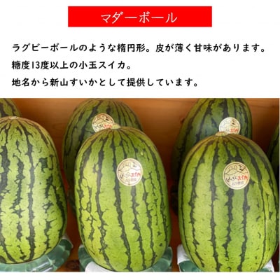 【2回定期便】旬のフルーツ定期便＜7月下旬・8月上旬お届け＞ SBTN011