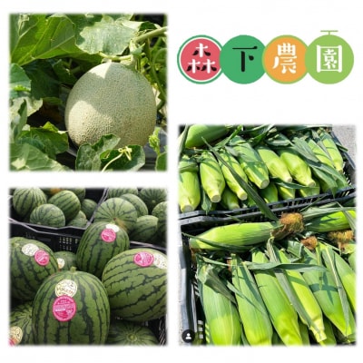 【2回定期便】旬のフルーツ定期便＜7月下旬・8月上旬お届け＞ SBTN011