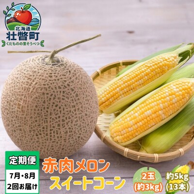 【2回定期便】旬のフルーツ・野菜定期便<7月下旬・8月上旬お届け>SBTN012