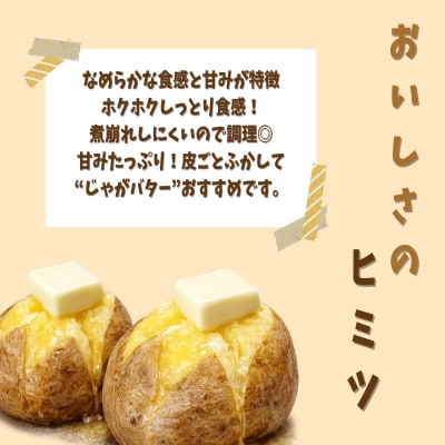 【3回定期便】旬のフルーツ・野菜定期便＜7月下旬・8月上旬・9月下旬お届け＞SBTN014
