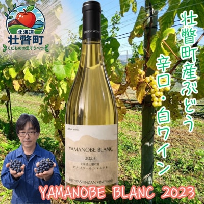 YAMANOBE BLANC 2023(ヤマノベブラン)白ワイン SBTQ012
