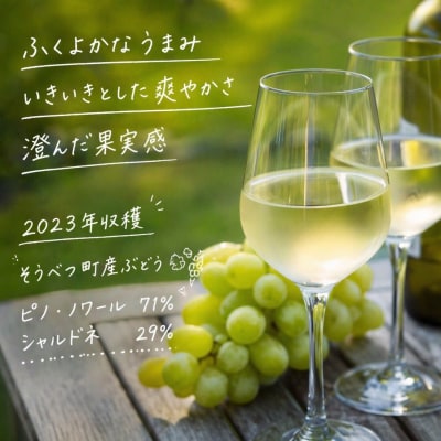 YAMANOBE BLANC 2023(ヤマノベブラン)白ワイン SBTQ012