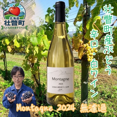 Montagne2024無濾過(モンターニュ) 白ワイン  SBTQ013