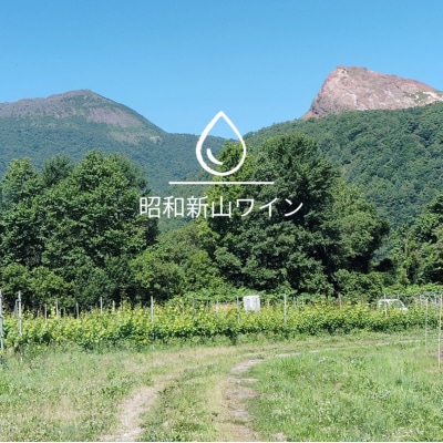 Montagne2024無濾過(モンターニュ) 白ワイン  SBTQ013