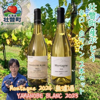 YAMANOBE BLANC 2023とMontagne2024無濾過の各1本セット SBTQ014