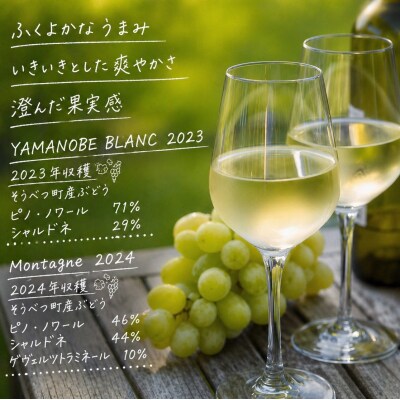 YAMANOBE BLANC 2023とMontagne2024無濾過の各1本セット SBTQ014