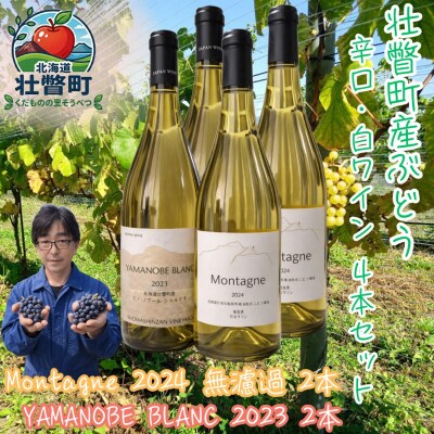 YAMANOBE BLANC 2023とMontagne2024無濾過の各2本セット SBTQ015