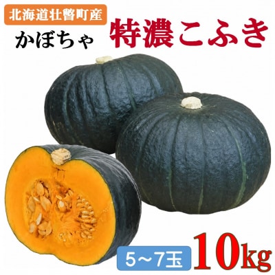 〈10月上旬よりお届け〉北海道壮瞥町産 かぼちゃ 特濃こふき5～7玉 約10Kg　SBTL019