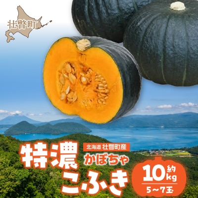 〈10月上旬よりお届け〉北海道壮瞥町産 かぼちゃ 特濃こふき5～7玉 約10Kg　SBTL019