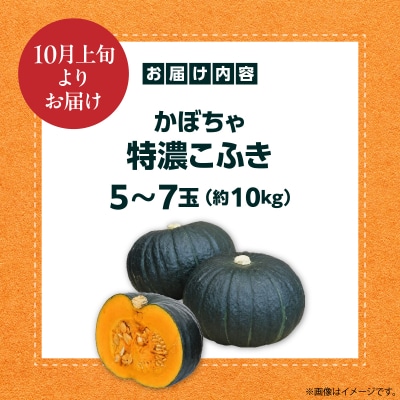 〈10月上旬よりお届け〉北海道壮瞥町産 かぼちゃ 特濃こふき5～7玉 約10Kg　SBTL019