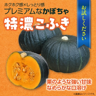 〈10月上旬よりお届け〉北海道壮瞥町産 かぼちゃ 特濃こふき5～7玉 約10Kg　SBTL019