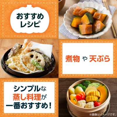 〈10月上旬よりお届け〉北海道壮瞥町産 かぼちゃ 特濃こふき5～7玉 約10Kg　SBTL019