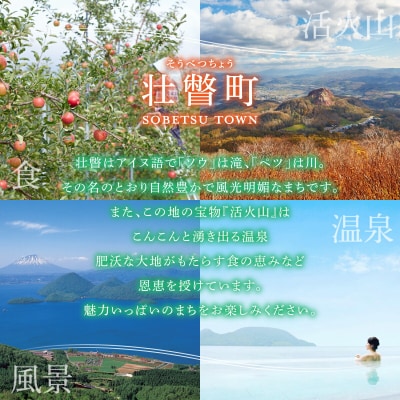 北海道壮瞥町産　ジオの恵み　かぼちゃバター2個 SBTA086