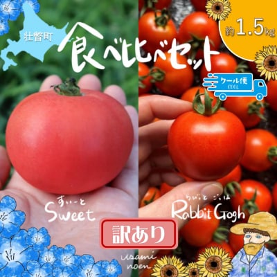 【訳あり】極旨トマトクール便 食べ比べ2種 スイート&ラビットゴッホ 1.5kg SBTAJ040