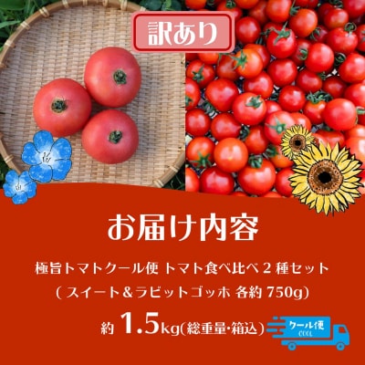 【訳あり】極旨トマトクール便 食べ比べ2種 スイート&ラビットゴッホ 1.5kg SBTAJ040