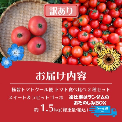 【訳あり】極旨トマトクール便 食べ比べ2種 スイート&ラビットゴッホ 1.5kg SBTAJ040