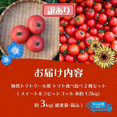 【訳あり】極旨トマトクール便 食べ比べ2種 スイート&ラビットゴッホ 3kg SBTAJ042