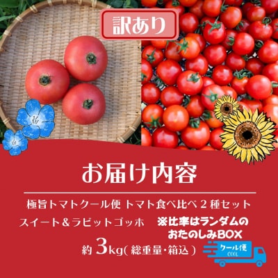 【訳あり】極旨トマトクール便 食べ比べ2種 スイート&ラビットゴッホ 3kg SBTAJ042
