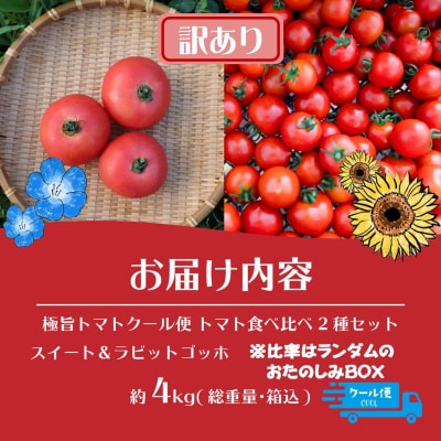 【訳あり】極旨トマトクール便 食べ比べ2種 スイート&ラビットゴッホ 4kg SBTAJ043