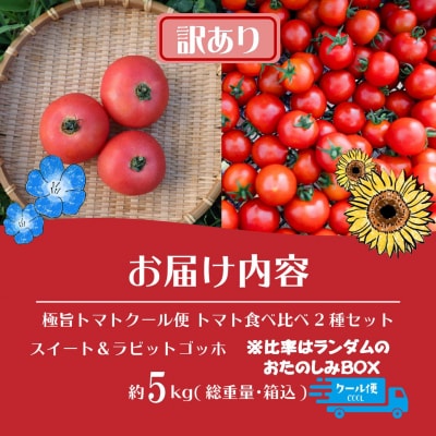【訳あり】極旨トマトクール便 食べ比べ2種 スイート&ラビットゴッホ 5kg SBTAJ044