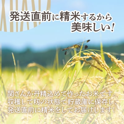 【令和8年産 新米】ななつぼし 壮瞥町産 精米5kg 定期便3回 計15kg 関果樹園SBTV002