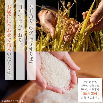【令和8年産】【隔月2回お届け】新山米(ななつぼし)5kg×2袋10kg 計20kg SBTC001