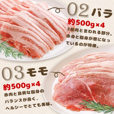 北海道中標津産 ミルキーポークたっぷりセット(計7.2kg)【15004】