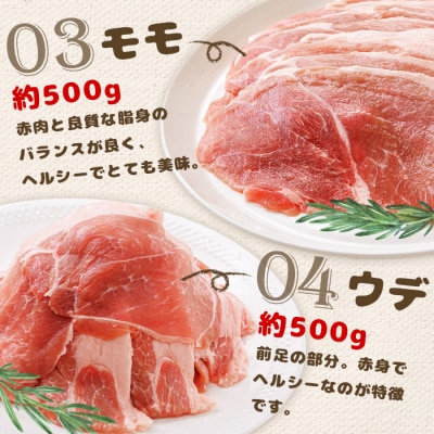 【定期便:全3回】北海道中標津産 ミルキーポークおためしセット(計2.1kg)【1500501】
