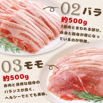 北海道中標津産 ミルキーポーク3点セット(計1.6kg)【15001】