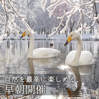 まちなか散策フォトツアー体験チケット(2人分)【32013】