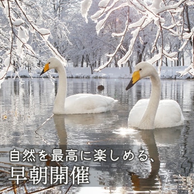 まちなか散策フォトツアー体験チケット(1人分)【32012】