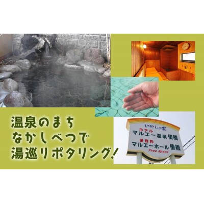 ファットバイクレンタルチケット(2台×8時間)【32005】