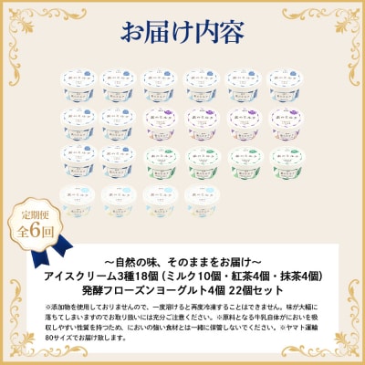 【定期便:全6回】【無添加】アイスクリーム3種18個とフローズンヨーグルト4個【1105703】